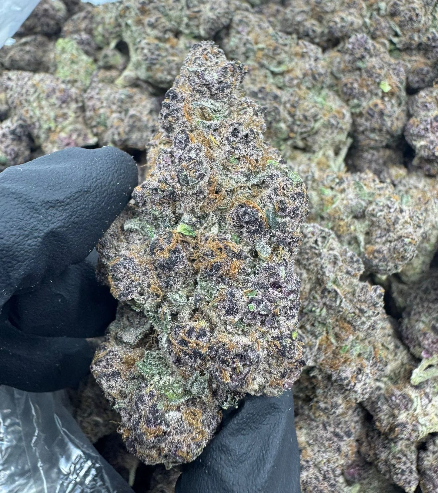 Connoisseur Tier Flower