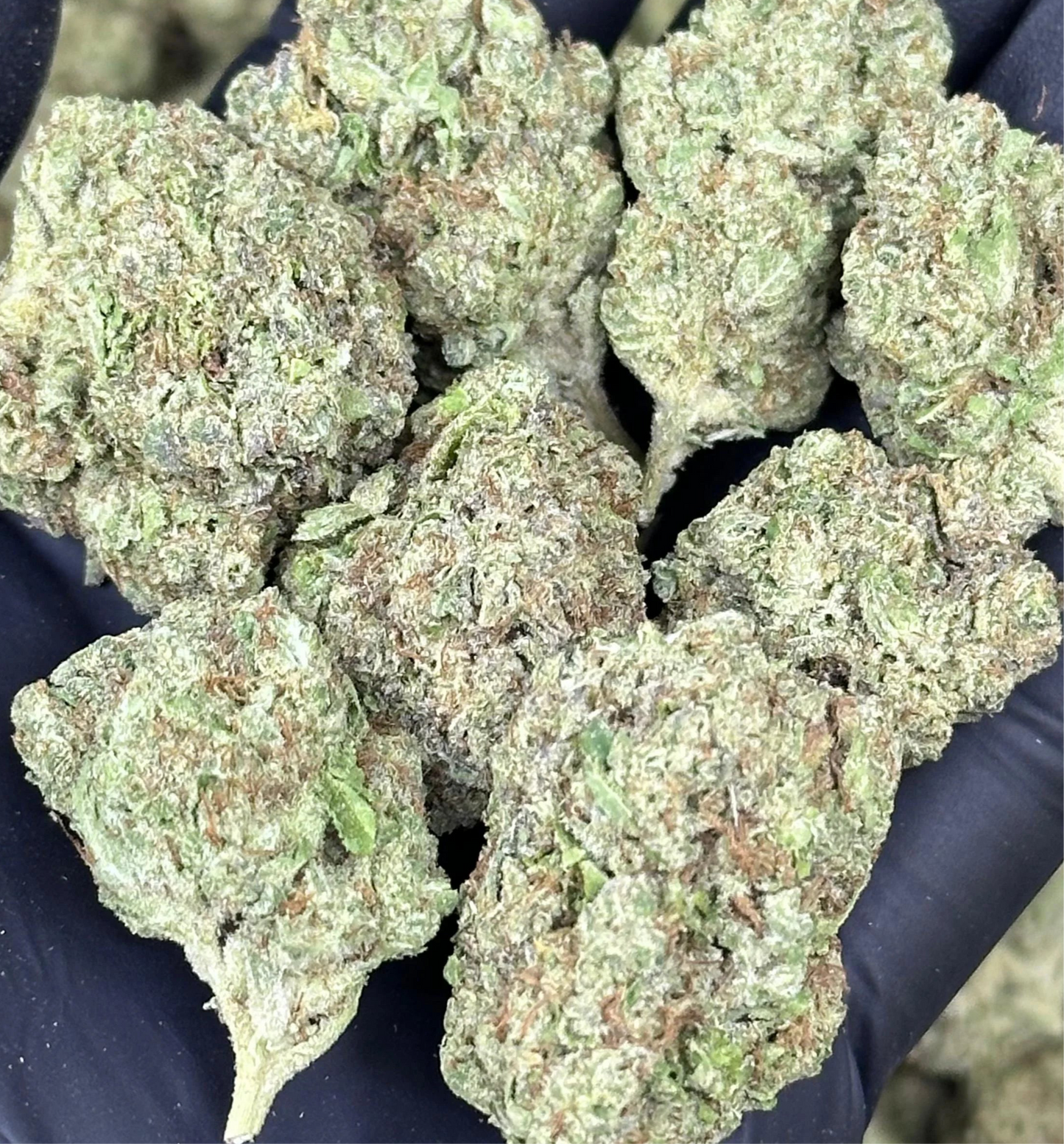Tier 3 Flower