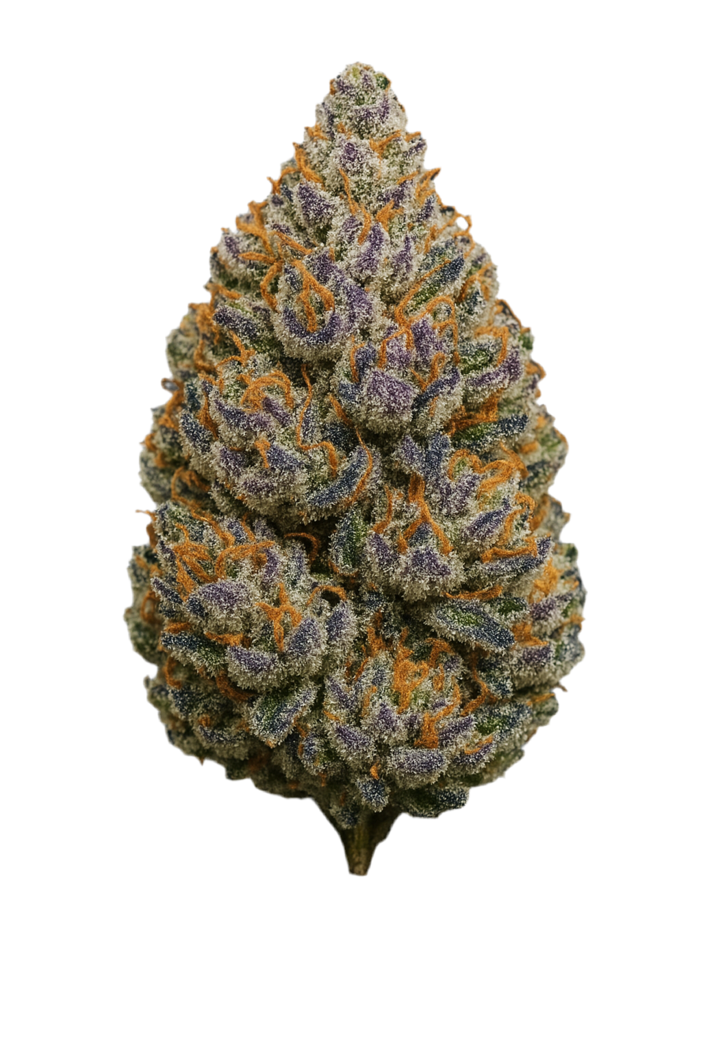 Tier 1 Flower