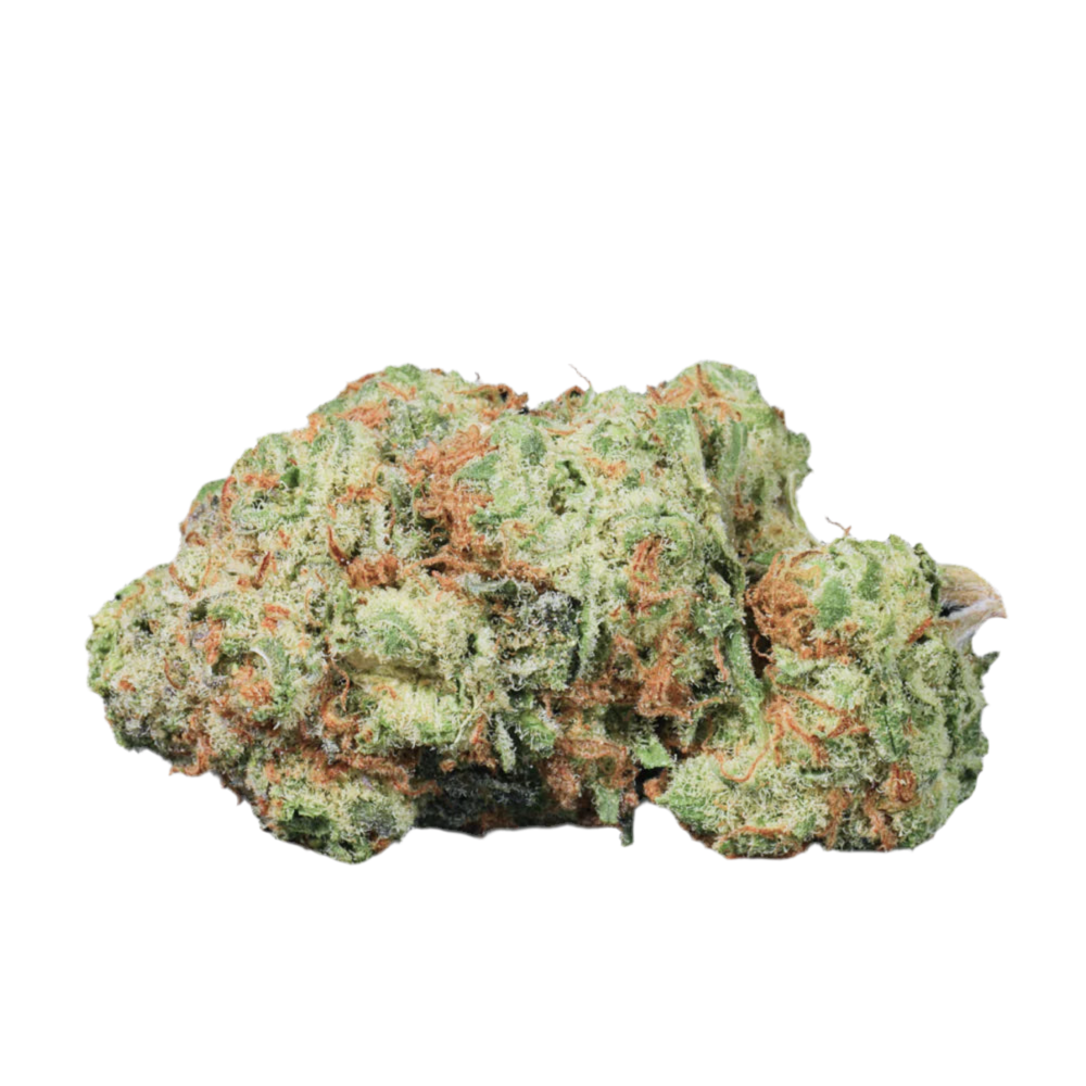 Garden State Gorillas Glue