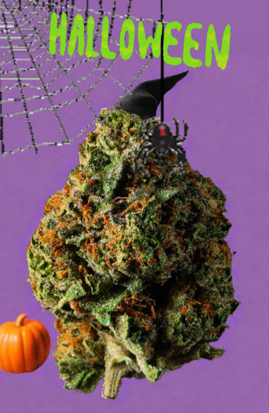 Witch’s Brew
