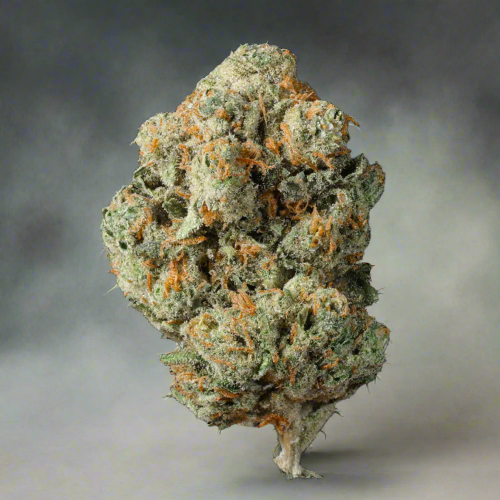 Kush-Keeper