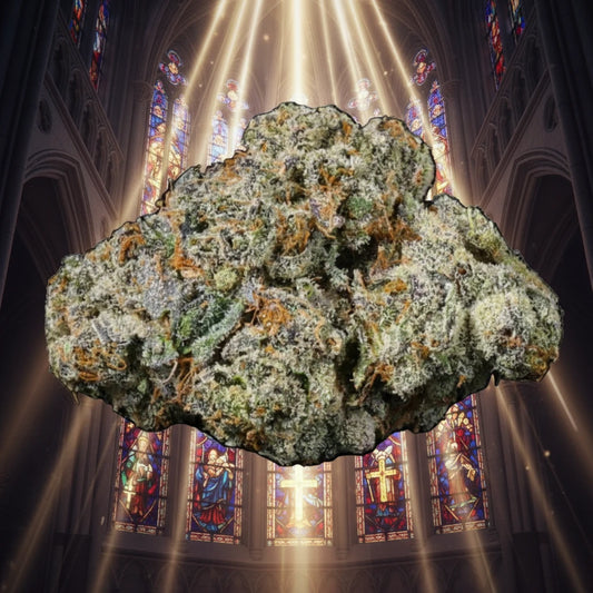 Plug Blessings