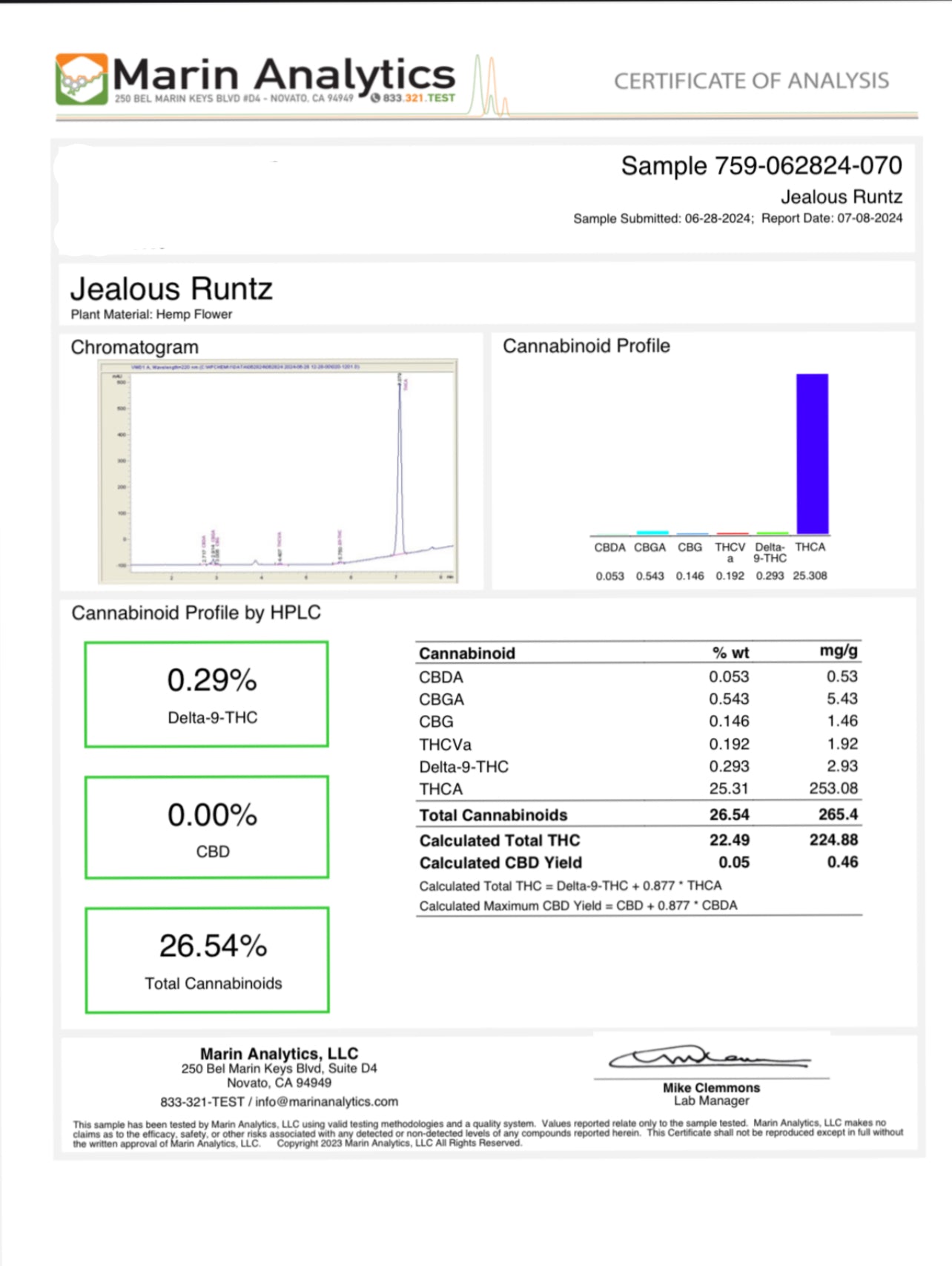 Government Ball Drop