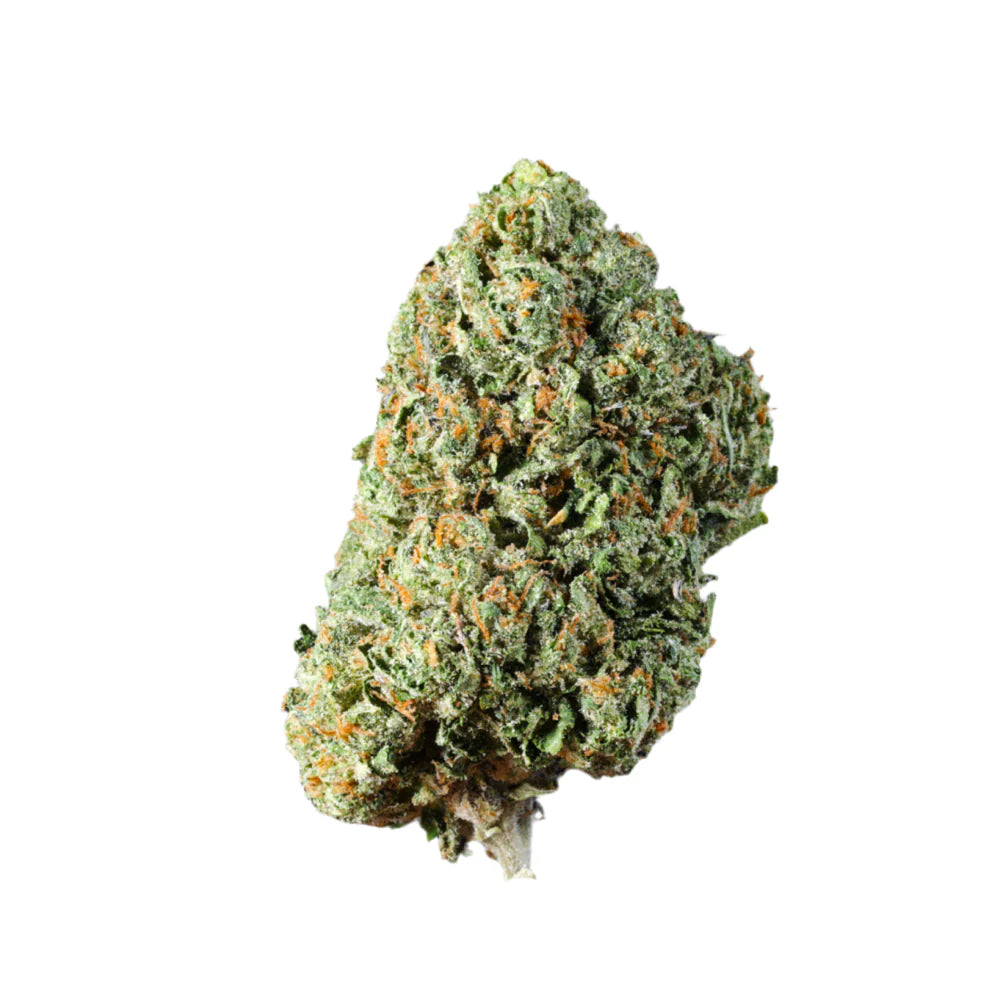Stashed: Pink Wheezy
