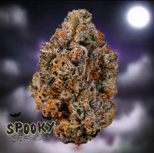 Ghouls Blood