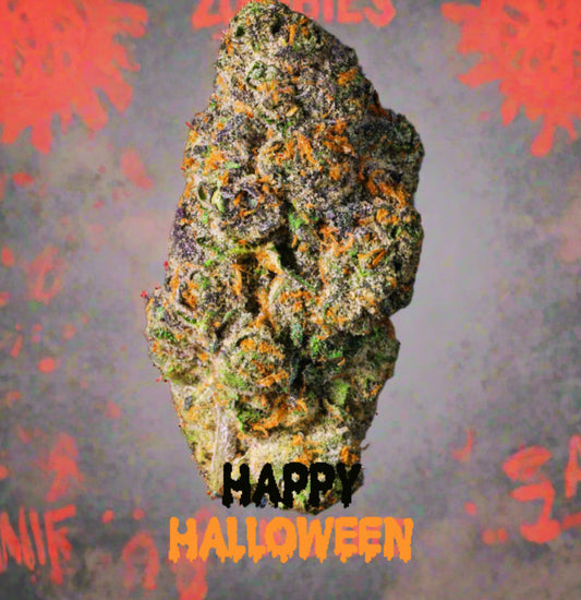 Midnight Zombie