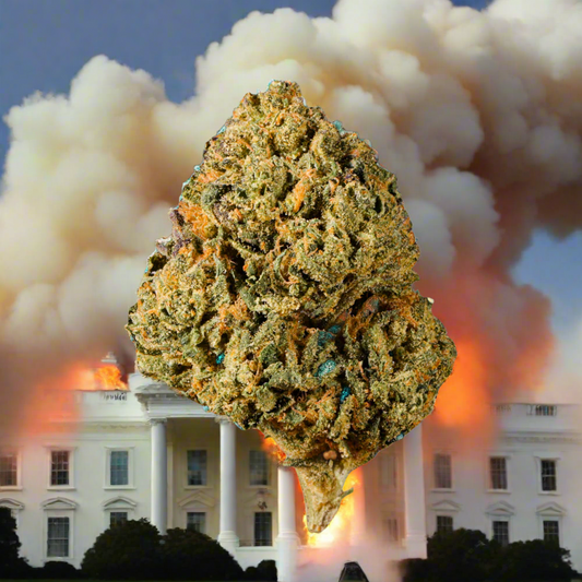 Gov Shut Down