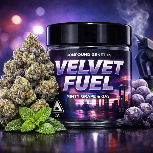 Velvet Fuel