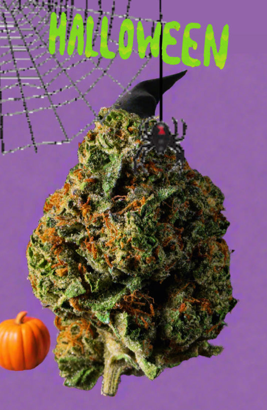 Witch’s Brew