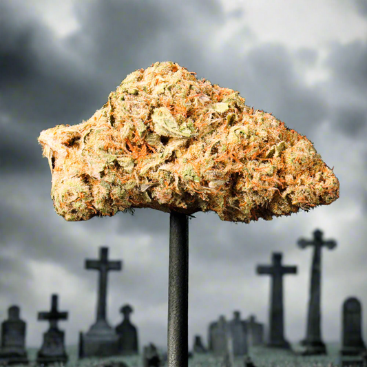 Graveyard Shift